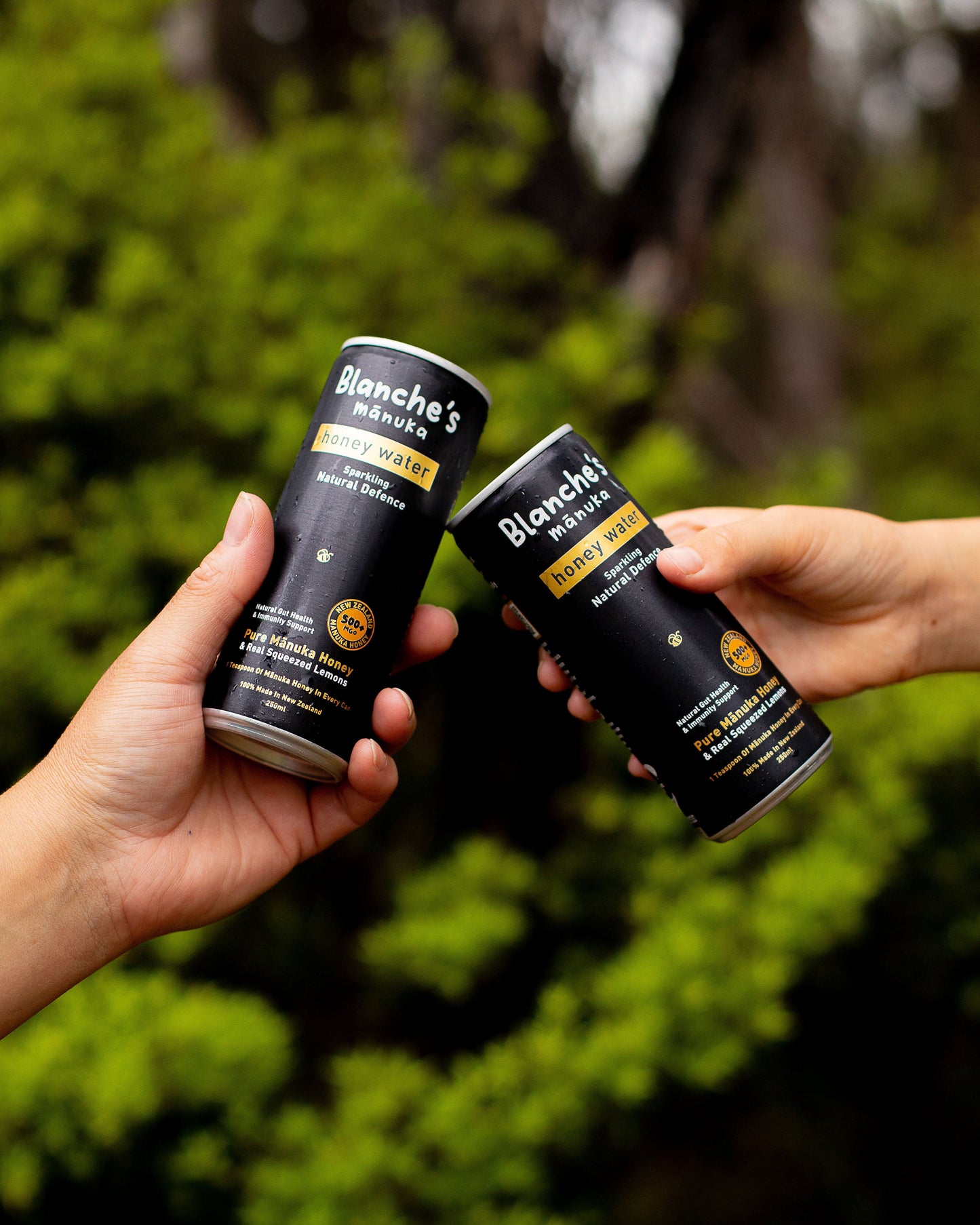 WellNest Blanche's Manuka Honey Water GMO500+ bottle shown in a lifestyle setting, highlighting the natural, health-focused drink.